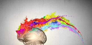 NGC Ventures合伙人:元宇宙如何推动创作者经济发展?