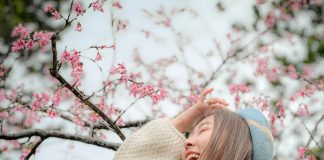 教你用手机拍出绝美樱花照!摄影师赵培均的 iPhone 14 Pro 拍摄密技大公开