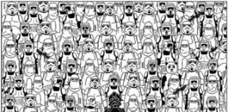 一文纵览 ZK 方案全明星项目